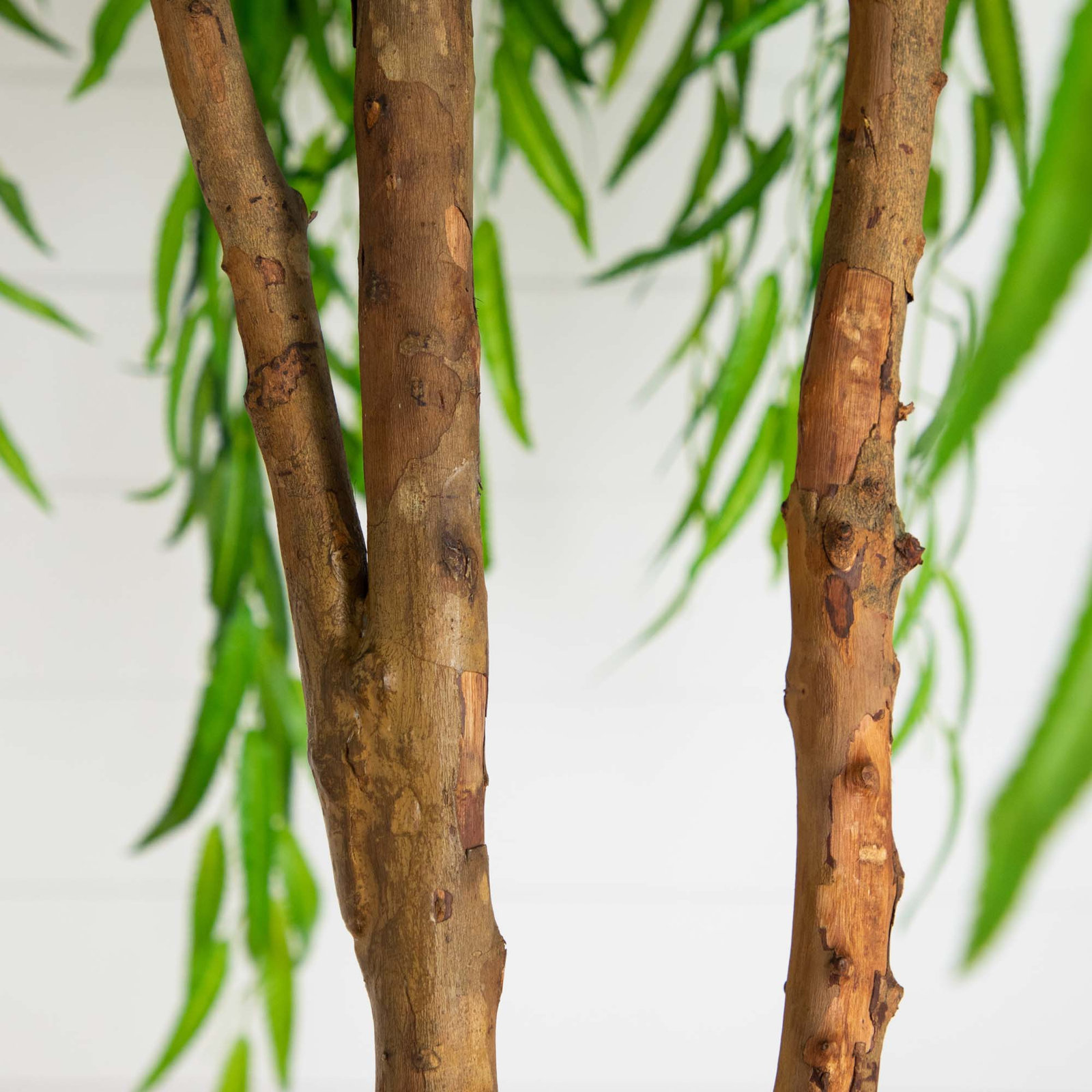 Willow Tree in Nursery Pot, 108" H x 42" W x 42" D