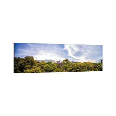 Tropical Forest XII by Glauco Meneghelli - Wrapped Canvas Panoramic Print