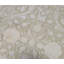 Oriental Area Rug in Beige