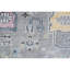 Wool Oriental Area Rug in Light Grey-518315859