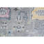 Wool Oriental Area Rug in Light Grey-518315864