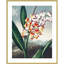 Temple of Flora VII par Dr. robert j. Impression murale Thornton-109724796