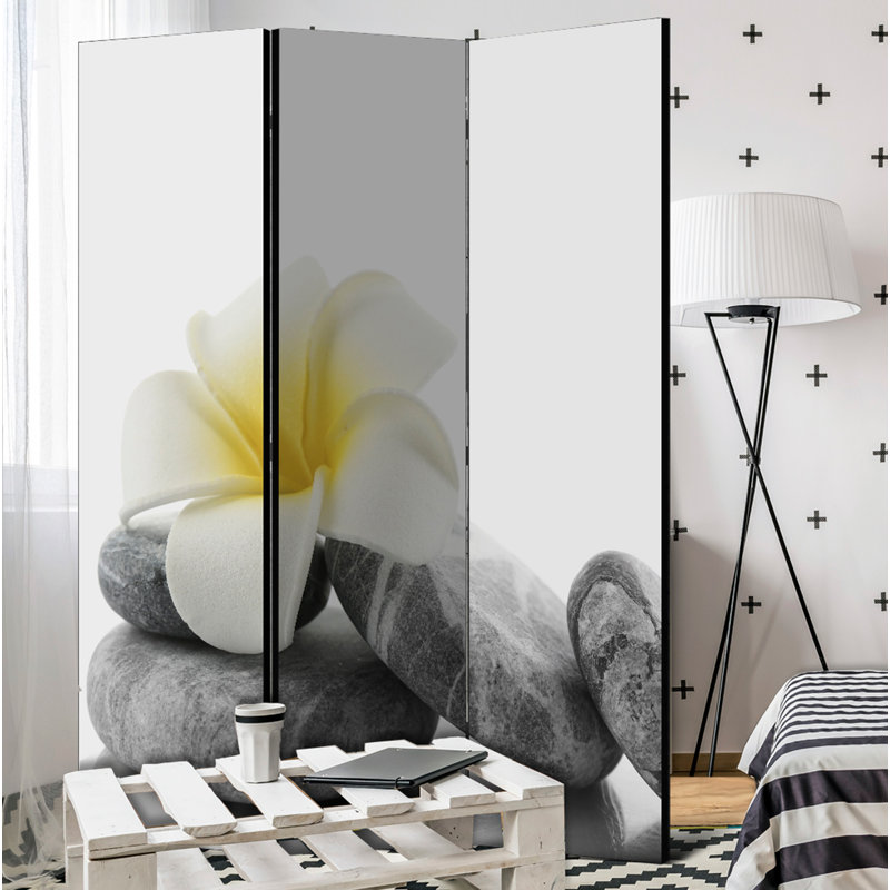 Ondina Solid Wood Folding Room Divider, 3