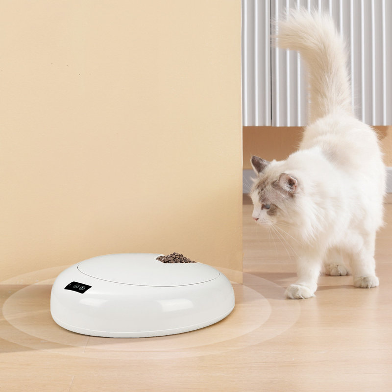 Hybrid Feeder/Toy