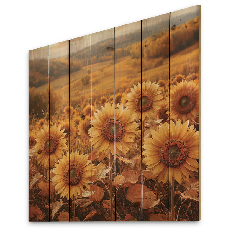 Country Side Sunflowers In Fall II - Sunflowers Wood Wall Art - On Natural Pine Wood, 30" H x 30" W x 0.78" D