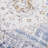 Oriental Indoor / Outdoor Rug-783310148