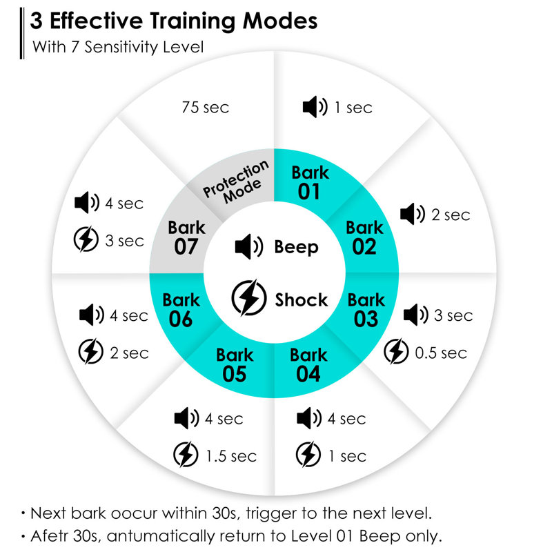 Dog Training Collar