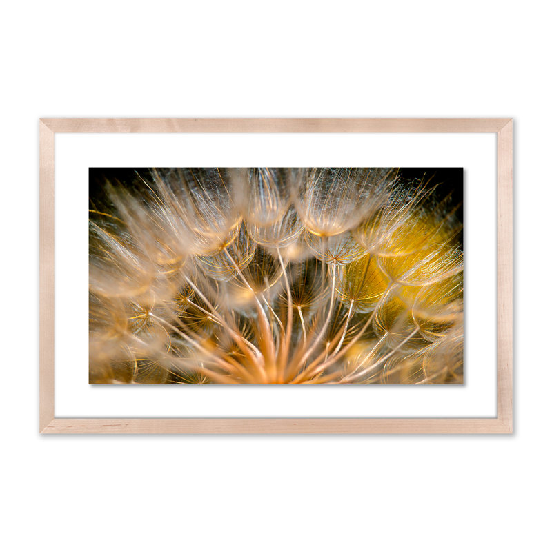 Float Away Print by Geoffrey Baris, 25" H x 40" W x 2.5" D, Natural