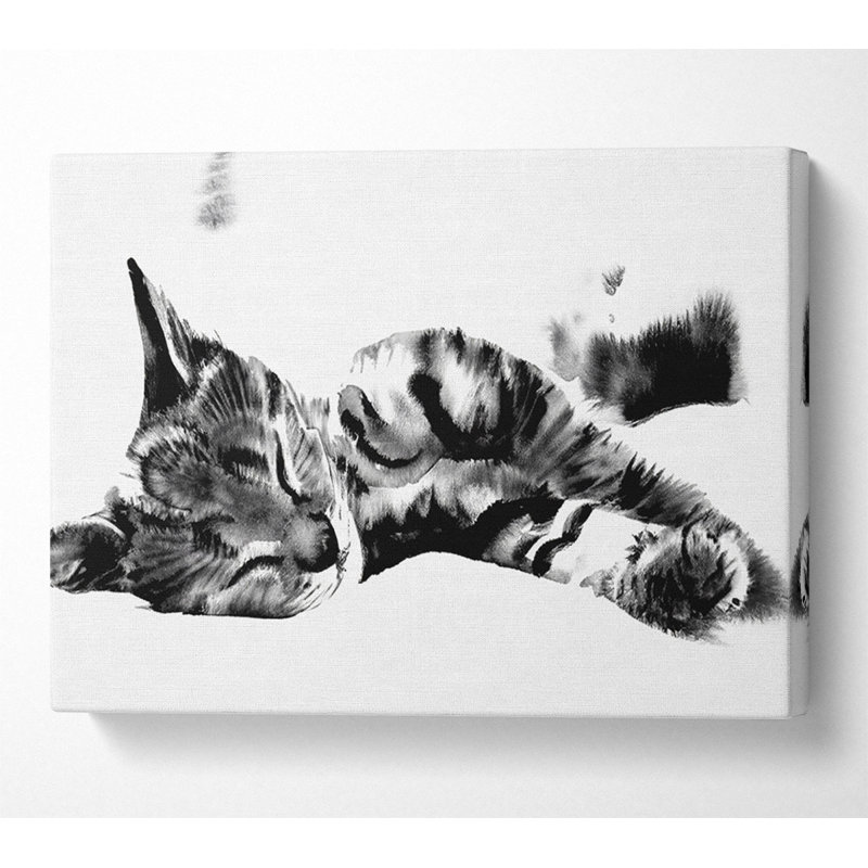 Nap Time Cat - Print, 50.8cm H x 81.3cm W x 10cm D