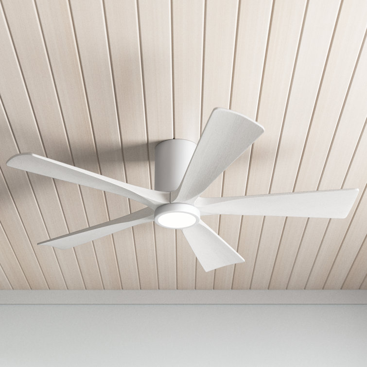 Irene 5 - Blade LED Ceiling Fan with Light Kit Included