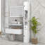 Tall Bathroom Storage Cabinet