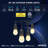 Outdoor 1 - Bulb 48'' Plug-in LED String Light