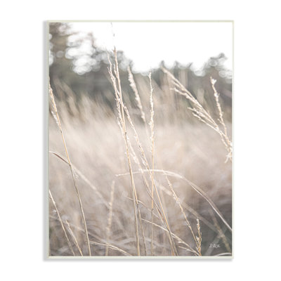 Photographie de cadre photo sur panneau de fibres à densité moyenne