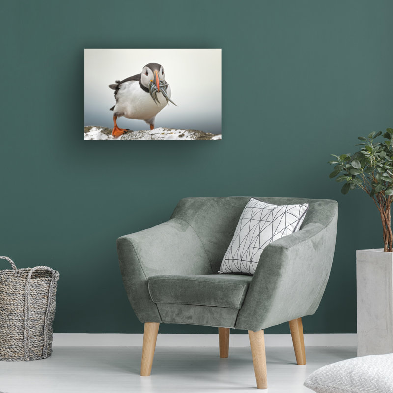 Art sur toile «bolologia fegari sushi», H 12 po x l 19 po