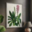 AntiqueFloralFolio II, reproduction encadrée - bois massif 2768837-99478225