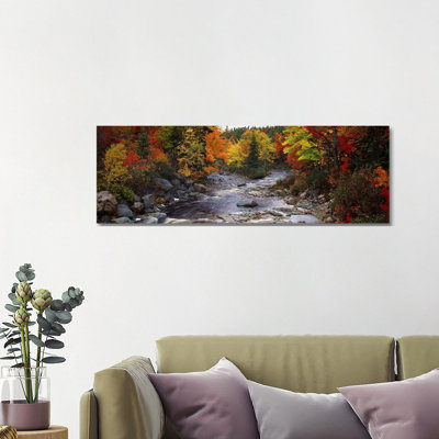 Stream with Trees in A Forest in Autumn, Nova Scotia, Canada 1 Piece Wrapped Canvas Panoramic Wall Art