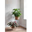 Vivi Plant Stand