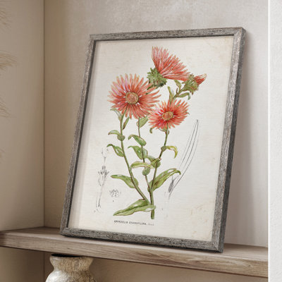 Botanical I Framed Print - Solid Wood