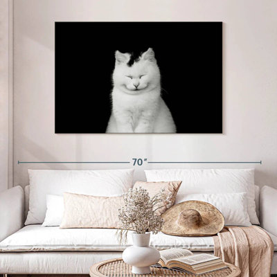 Chat blanc ravi Brampt