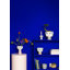 Eva Ceramic Planter