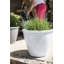 Eden Emblem Plant Pot - Plastic-296775583-296775578