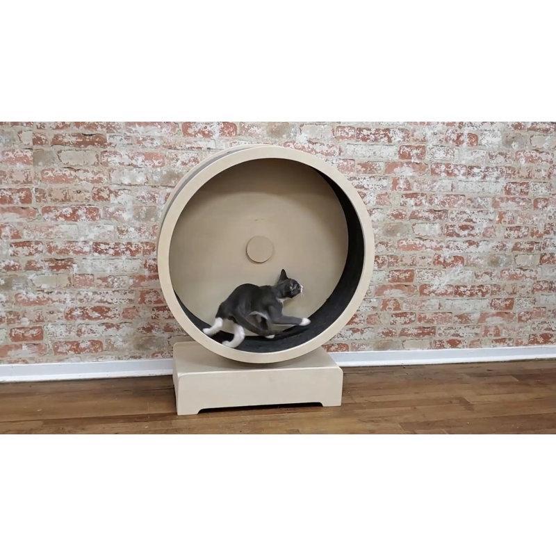 Beige and Black Sisal Cat Exercise Wheel with Stand