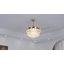 Ventilateur de plafond 48 "à intensité variable avec lumières DEL et télécommande-1681693681