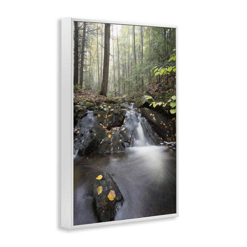 «Misty Stream Adirondacks», dessin de James Rodewald, H 30 po x l 20 po, Estampe numérique encadrée blanc bord de mer
