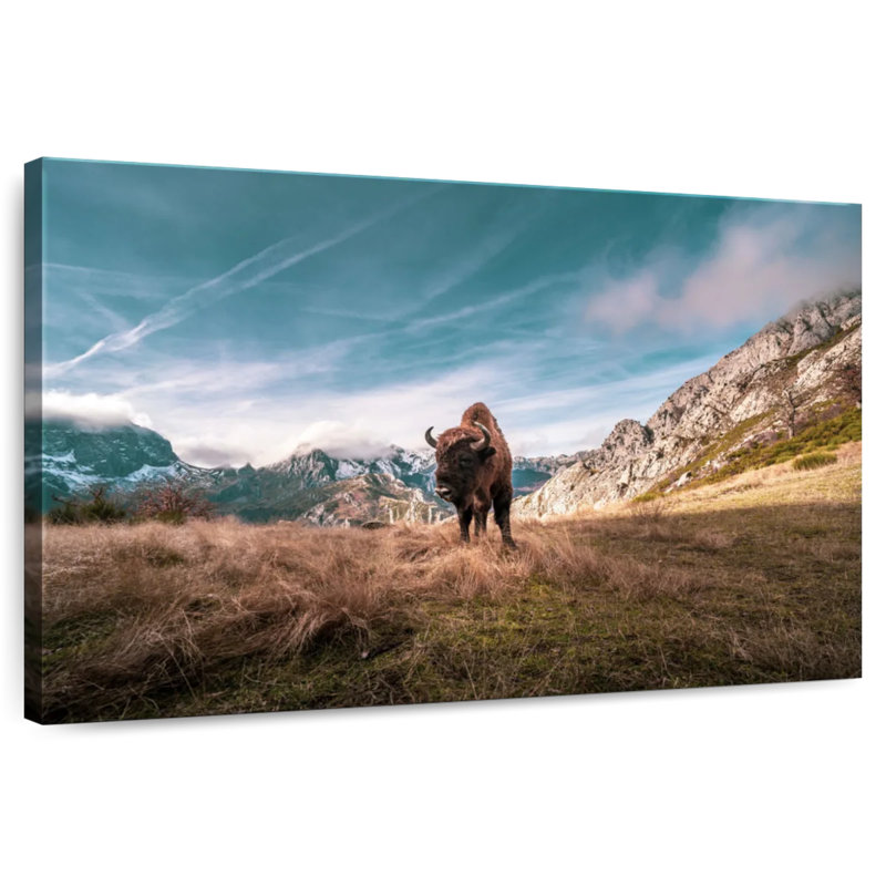 Crowle Bison Renaissance Sky, 20" H x 30" W