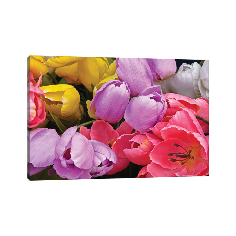 Tulip Bouquet by Brian Wolf - Wrapped Canvas Print