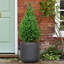 Ribbed Round Planter By Idealist Lite-1782642606