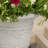 Outdoor Modern Planter