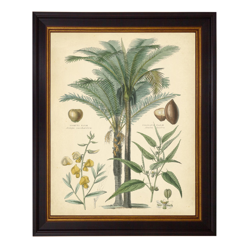 Fruitful Palm I - Single Picture Frame Print