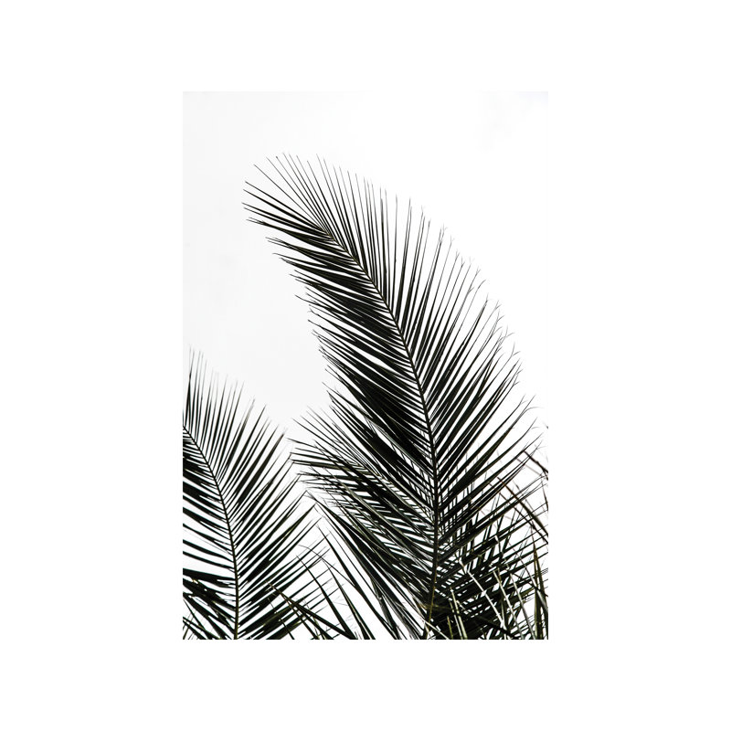 Palm Leaves I by Mareike Böhmer - Wrapped Canvas Print, 101.6 cm H x 66.04 cm W x 3.175 cm D
