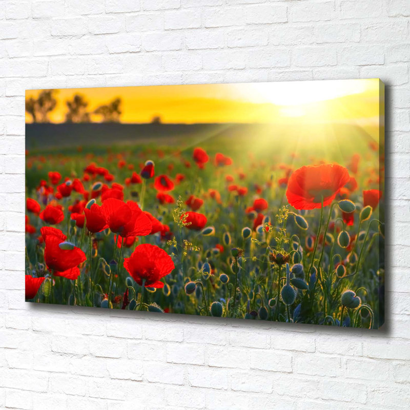 Field Of Poppies - Wrapped Canvas Print