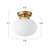 1-light Oval Glass Semi Flush Mount