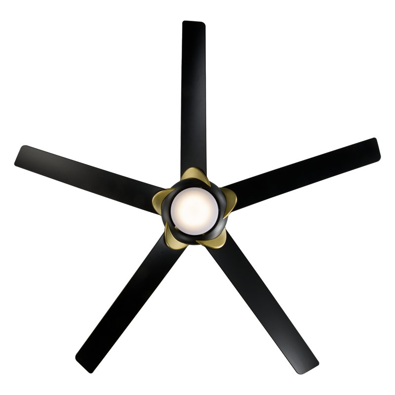 62" Lucid 5 - Blade Outdoor/Indoor Smart Standard Ceiling Fan with Remote Control and LED Light Kit Included, Works With Alexa and iOS or Android App