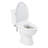 Waycross 1.28 GPF Two Piece Elongated Chair Height Rear Outlet Toilet - Bidet Seat Included