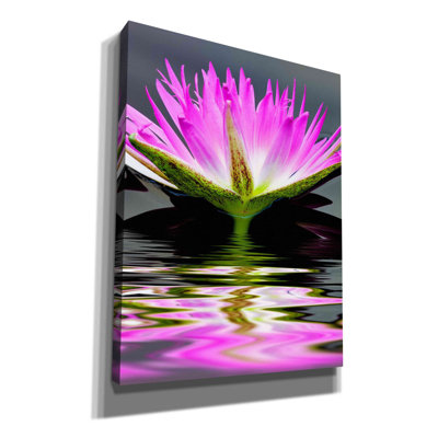 Ebern Designs «Purple Reflection» par Dennis Frates, art mural sur toile-5923