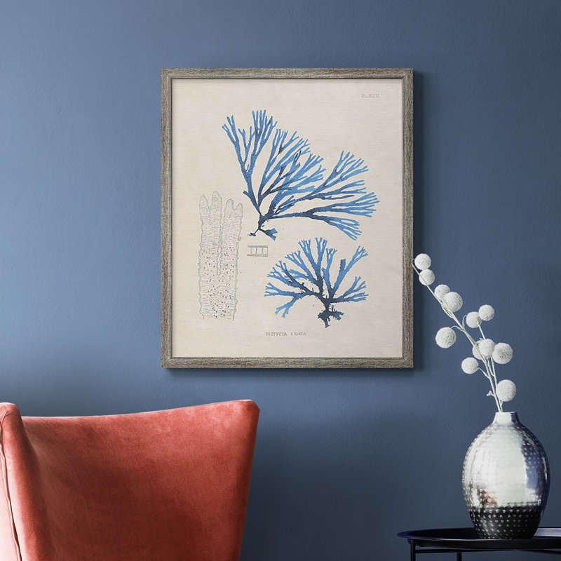 «Blue Marine Algae V», toile encadrée de qualité supérieure - prête à être accrochée, Argent patiné, H 24 po x l 20 po