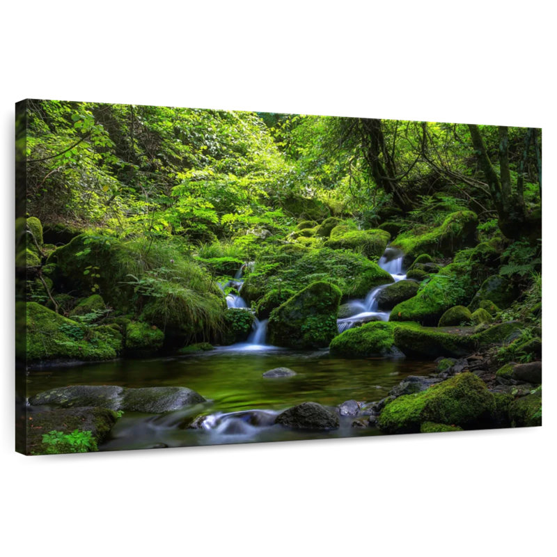 Alvord Whimsical Falls