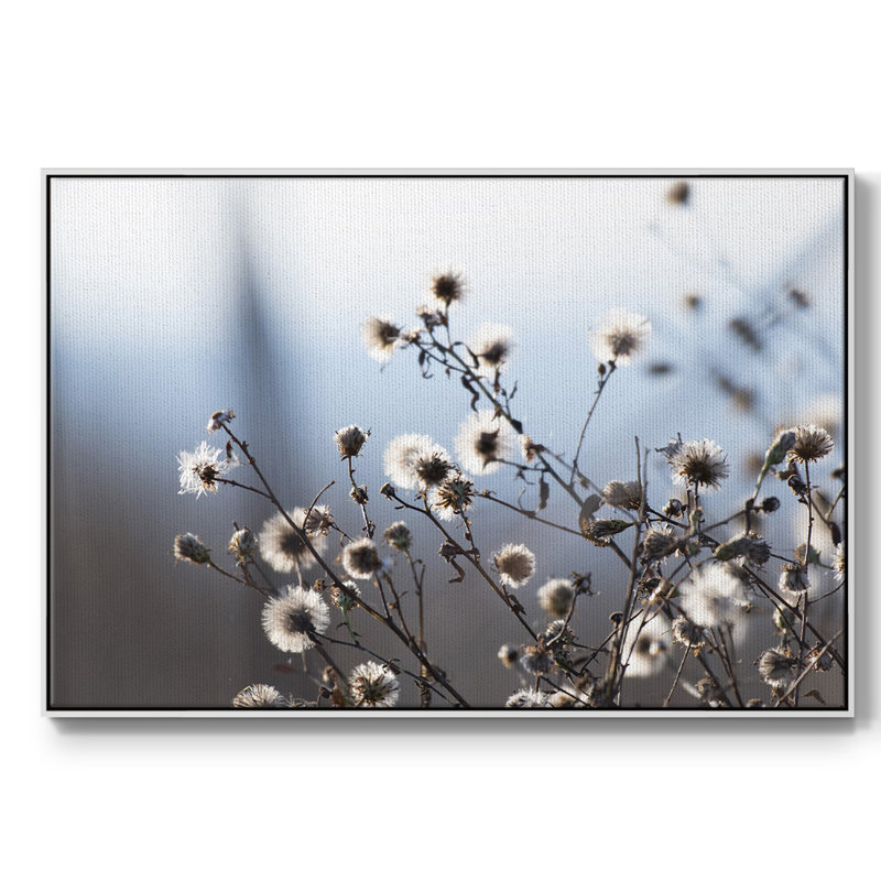 «Spring Fluff», reproduction sur toile, H 25 po x l 37 po x P 2 po, Blanc