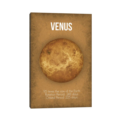Venus Kids Wall Décor