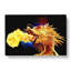 Golden Dragon - Wrapped Canvas-55366005