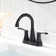 Centerset 2-handle Bathroom Faucet with Drain Assembly
