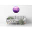Joviah Glass Wall Clock