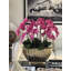 Vivien Gold Vase With Phaleanopsis Orchids-772172527