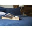 Plain Dye 540 TC Egyptian-Quality Cotton Cotton Striped Duvet Cover Set with Pillowcases Included-17264545-24186228