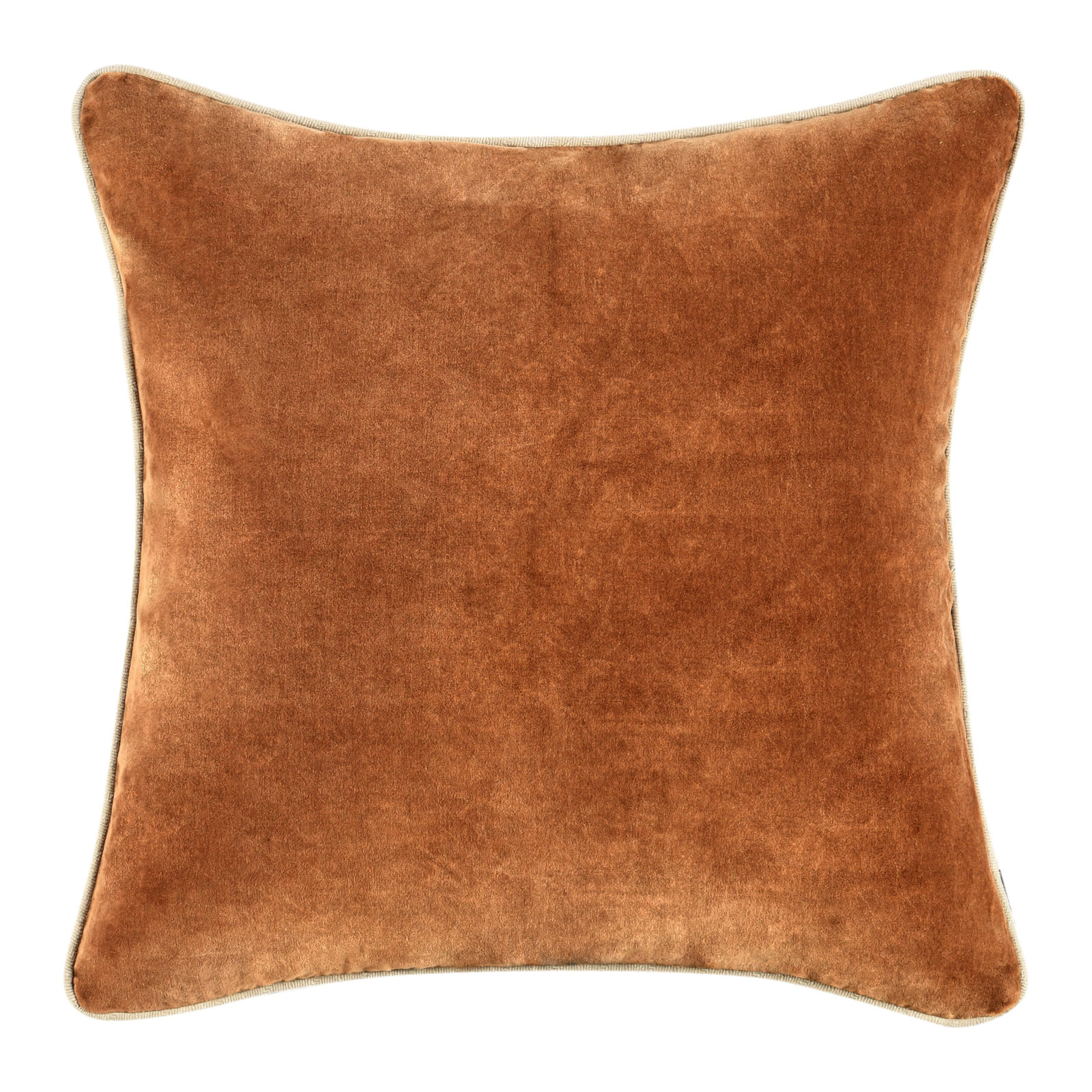 Goodall Velvet Pillow Cover & Insert, Hazel Brown, Square 18"