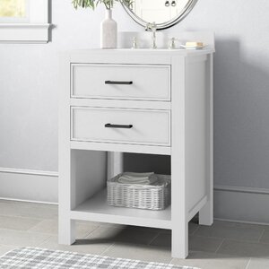 Batruk 24" W Single Bathroom Vanity Set (ours is grey)